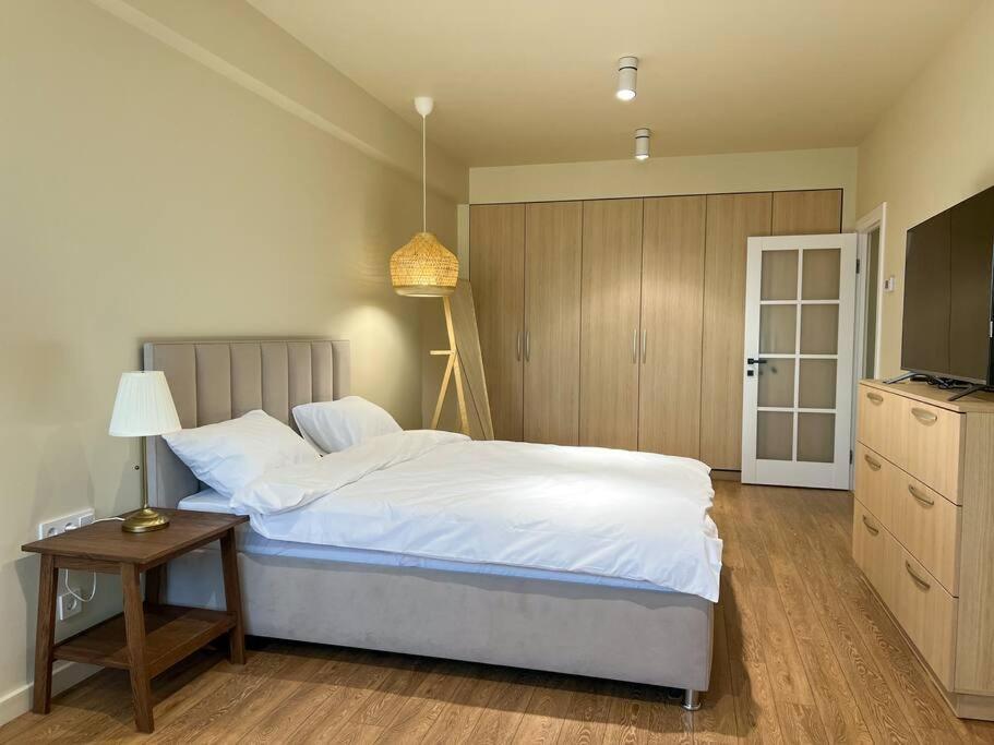 2 Bedroom On Ismail Corner Stefan Cel Mare, New Apartment, Chisinau Center! Eksteriør billede